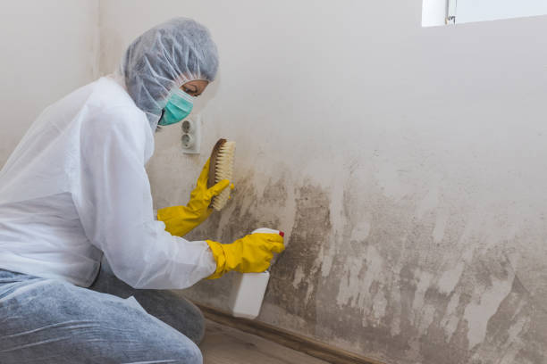 Best Asbestos and Lead Testing During Mold Inspection  in Hanover, IN