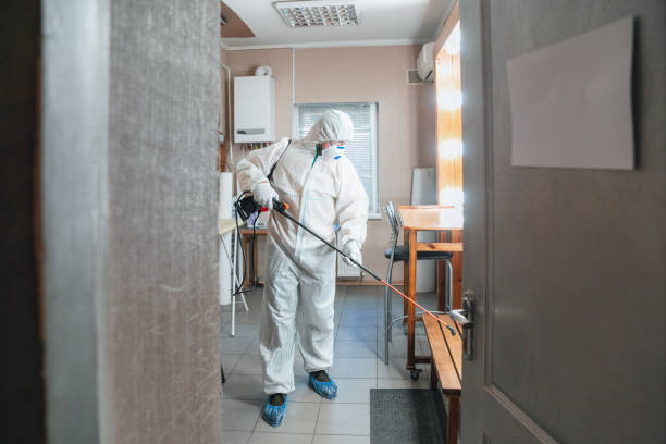 Best Industrial Mold Remediation  in Hanover, IN