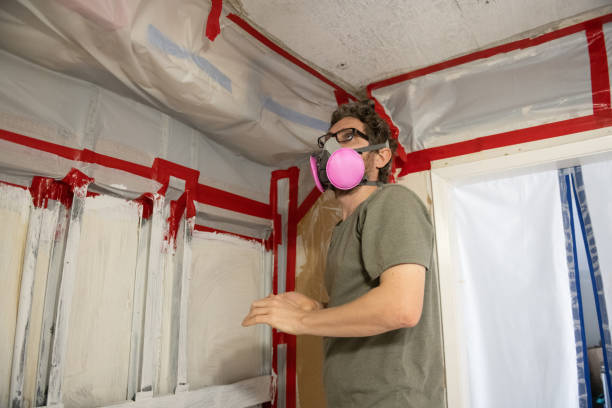 Best Biohazard Mold Removal  in Hanover, IN