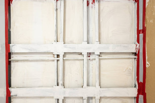 Best Mold Damage Restoration  in Hanover, IN