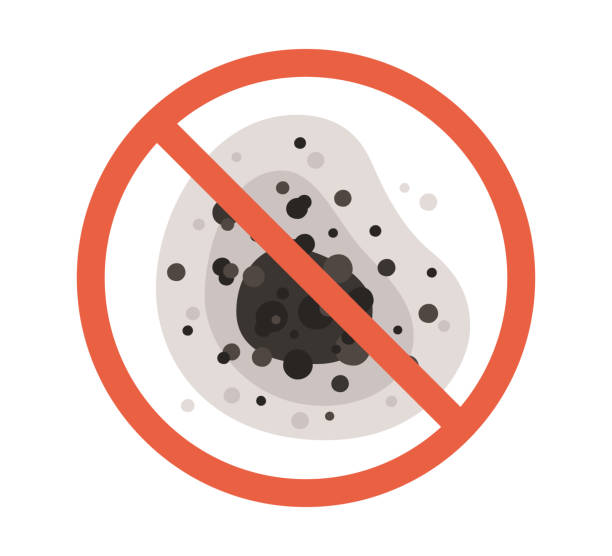 Best Basement Mold Removal  in Hanover, IN
