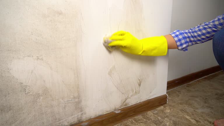 Best Airborne Mold Testing  in Hanover, IN