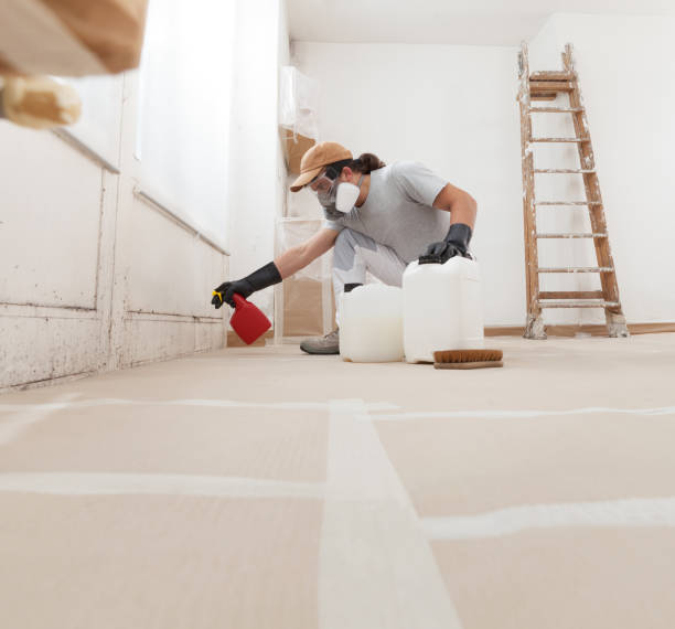 Best Mold Odor Removal Services  in Hanover, IN
