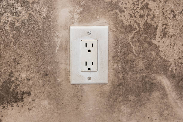 Best Environmental Consulting for Mold Prevention  in Hanover, IN
