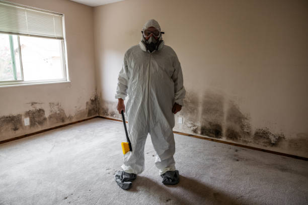 Best Commercial Mold Inspection  in Hanover, IN